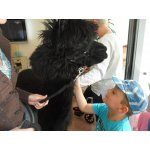 28.05.2015 Seniorenheim Vitaris